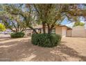 Inviting home with mature trees and well-manicured bushes, enhancing the home's curb appeal at 2745 S Emerson Cir, Mesa, AZ 85210