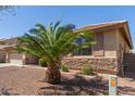 Charming home with desert landscaping and a young palm tree in the front yard at 15288 W Redfield Rd, Surprise, AZ 85379