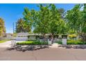Beautifully landscaped home featuring a charming white brick exterior and paved driveway at 6837 E Lafayette Blvd, Scottsdale, AZ 85251