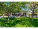Lush front yard with mature trees shading a charming white brick home with black accents at 6837 E Lafayette Blvd, Scottsdale, AZ 85251