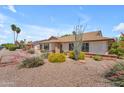 Well maintained single-story home with desert landscaping including vibrant flowering plants and an attractive facade at 928 W Natal Ave, Mesa, AZ 85210