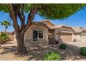 Cozy one-story home with desert landscaping, featuring a mature shade tree and a two-car garage at 44454 W Oster Dr, Maricopa, AZ 85138