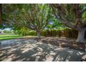 Covered patio with shade trees offering privacy and outdoor living space at 6637 W Pershing Ave, Glendale, AZ 85304