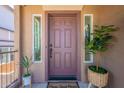 Charming front door with sidelights, potted plants, and a welcoming 'Home Sweet Home' doormat at 1187 E Frances Ln, Gilbert, AZ 85295