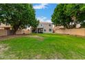 Green backyard with mature trees and privacy fencing at 1377 W Park Ave, Gilbert, AZ 85233