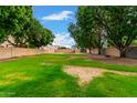 Expansive backyard featuring mature trees and lush green grass, ideal for outdoor activities at 1377 W Park Ave, Gilbert, AZ 85233