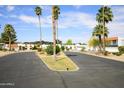 A wide streetscape featuring several homes and mature palm trees creates an open and inviting neighborhood ambiance at 6 E Piping Rock Rd, Phoenix, AZ 85022