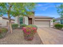 Charming home with colorful landscaping and a mix of desert plantings at 134 E Bernie Ln, Gilbert, AZ 85295
