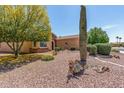 A single-story home with low desert landscaping featuring native cactus and trees at 19225 N Tallowood Way, Surprise, AZ 85387