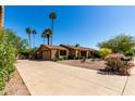Expansive driveway leading to a single-story home with desert landscaping and tall, eye-catching palm trees at 2114 E Hale St, Mesa, AZ 85213