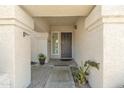 Welcoming front entrance with a decorative door, framed by elegant columns and plants at 2333 E Egret Ct, Gilbert, AZ 85234