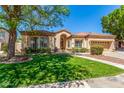 Expansive lush lawn of the single-story house framed by large mature shade trees at 7236 W Aurora Dr, Glendale, AZ 85308