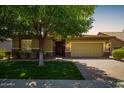 Charming single-story home with a lush green lawn, mature tree, and a two-car garage at 7251 E Portobello Ave, Mesa, AZ 85212