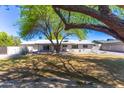 Spacious backyard featuring a well-manicured lawn, desert landscaping, and a covered patio at 2935 W Kristal Way, Phoenix, AZ 85027
