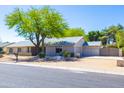A well-maintained, single-story home featuring mature shade trees and desert landscaping at 2935 W Kristal Way, Phoenix, AZ 85027