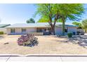 Inviting single-story home with a well-kept yard and vibrant desert plants at 2935 W Kristal Way, Phoenix, AZ 85027