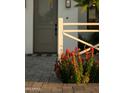 Close-up on vibrant flower beds with red and pink flowers, adding a touch of natural beauty to the home's exterior at 3101 E Sells Dr, Phoenix, AZ 85016