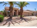 Inviting exterior with desert landscaping, mature palm trees, and a wide driveway at 623 W Harvard Ave, Gilbert, AZ 85233