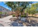 Charming home exterior with a large tree in the front yard at 6469 W Ruth Ave, Glendale, AZ 85302