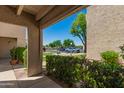 View from condo patio of landscaping, street and cars at 1920 W Lindner Ave # 116, Mesa, AZ 85202