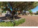 Charming home exterior with mature landscaping and a well-maintained yard, showcasing curb appeal at 9203 S Heather Dr, Tempe, AZ 85284