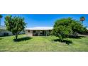 Expansive backyard with lush lawn, mature trees, and covered patio for outdoor enjoyment at 9911 W Pleasant Valley Rd, Sun City, AZ 85351