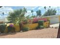 Lush front yard featuring desert landscaping and a vibrant flowering border at 3041 E Osborn Rd, Phoenix, AZ 85016