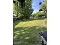 Spacious backyard with lush green grass and mature trees, perfect for outdoor activities at 313 E 15Th St, Tempe, AZ 85281