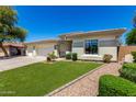 Well-maintained home with manicured lawn, mature trees, and desert landscaping at 1096 E Lodgepole Dr, Gilbert, AZ 85298
