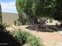 Secluded backyard featuring mature trees, lush greenery, and a tranquil desert-style landscape at 2324 W Via Rialto Cir, Mesa, AZ 85202