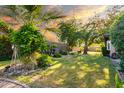 A lush green lawn is landscaped with a variety of plants and palm trees at 325 E Sharon Ave, Phoenix, AZ 85022