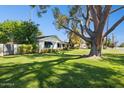 Expansive front yard showcases lush green grass and a mature tree offering ample shade at 6800 E Exeter Blvd, Scottsdale, AZ 85251