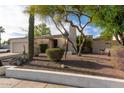Inviting single-story home with desert landscaping, a two-car garage, and mature trees in the front yard at 1302 E Nicolet Ave, Phoenix, AZ 85020
