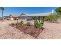 Single story home with desert landscaping at 8020 W Windrose Dr, Peoria, AZ 85381