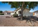 Well-maintained single-story home featuring desert landscaping with decorative rock and mature shade trees at 11840 N 59Th Ln, Glendale, AZ 85304
