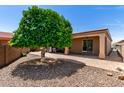 Private backyard space featuring a patio area with a mature shade tree at 2111 N Piper Pl, Mesa, AZ 85215