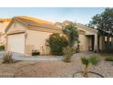 Charming home with a well-maintained front yard featuring colorful flowering shrubs at 24027 W Antelope Trl, Buckeye, AZ 85326
