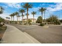 Attractive community entrance with mature palm trees, lush landscaping, and welcoming signage at 3330 S Gilbert Rd # 1020, Chandler, AZ 85286