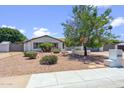 Charming single-story home featuring lush landscaping, mature trees, and a well-maintained gravel yard at 5319 E Gelding Dr, Scottsdale, AZ 85254