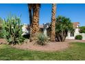 Well maintained front yard with desert landscaping featuring mature palm trees and cacti at 3740 E Tonto Ct, Phoenix, AZ 85044