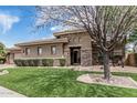 Inviting front yard with lush, green turf, mature trees, and a modern home design with stone accents at 5291 S Bradshaw Pl, Chandler, AZ 85249