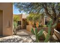Desert home with mature landscaping, including cactus and yucca plants at 9154 E Sunflower Ct, Scottsdale, AZ 85266