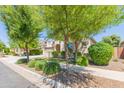 Landscaped front yard showcasing desert landscaping, lush trees, and a welcoming facade at 20084 E Rosa Rd, Queen Creek, AZ 85142