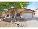 Inviting home featuring desert landscaping, mature tree, and a well-kept lawn at 418 E Clairidge Dr, San Tan Valley, AZ 85143