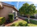 Beautifully landscaped front yard with lush greenery and desert plants, enhancing the home's curb appeal at 10802 W Thunderbird Blvd, Sun City, AZ 85351