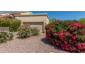 Beautiful home with lovely landscaping, including bougainvillea and desert plants, near the tan garage door at 16734 E Gunsight Dr # 109, Fountain Hills, AZ 85268