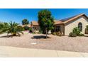 Street view of a one-story house featuring desert landscaping, a tile roof and a mature tree at 556 W Sagebrush St, Gilbert, AZ 85233