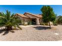 Attractive single-story home featuring desert landscaping, a tile roof and mature palm trees at 556 W Sagebrush St, Gilbert, AZ 85233