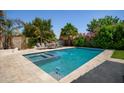 Relaxing backyard pool and spa area with desert landscaping, lounge chairs and palm trees at 556 W Sagebrush St, Gilbert, AZ 85233