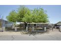 Home with shade tree in front of house and black metal fence around the property at 9733 E Baywood Ave, Mesa, AZ 85208